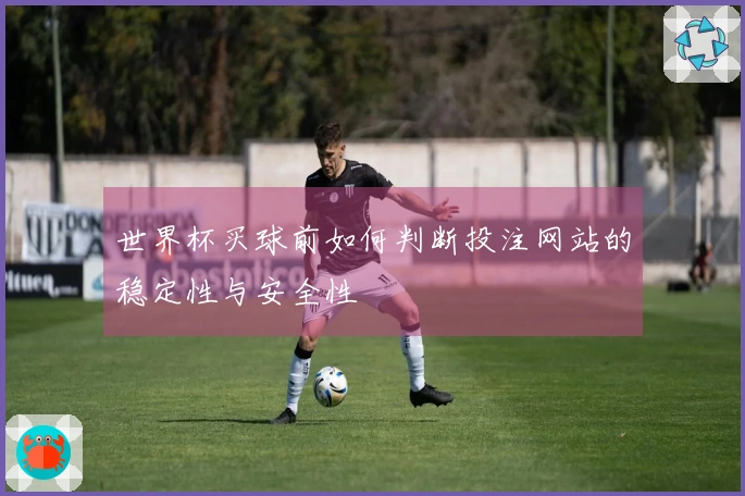 世界杯买球前如何判断投注网站的稳定性与安全性