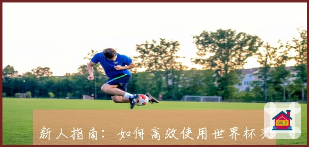 新人指南：如何高效使用世界杯买球平台官网进行精彩赛事观看与互动