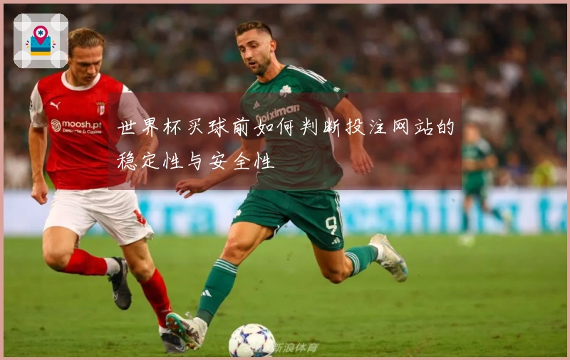 世界杯买球前如何判断投注网站的稳定性与安全性