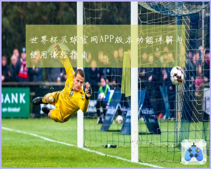 世界杯买球官网APP版本功能详解与使用体验指南