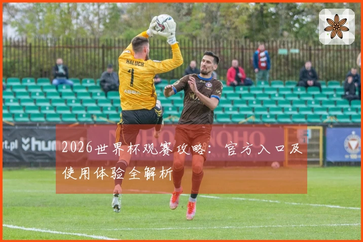 2026世界杯观赛攻略：官方入口及使用体验全解析