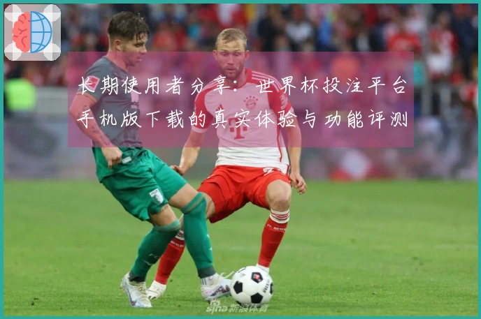 长期使用者分享：世界杯投注平台手机版下载的真实体验与功能评测