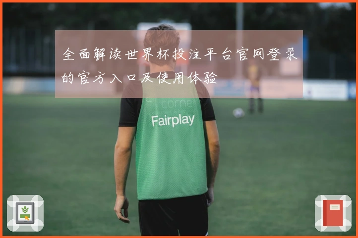 全面解读世界杯投注平台官网登录的官方入口及使用体验