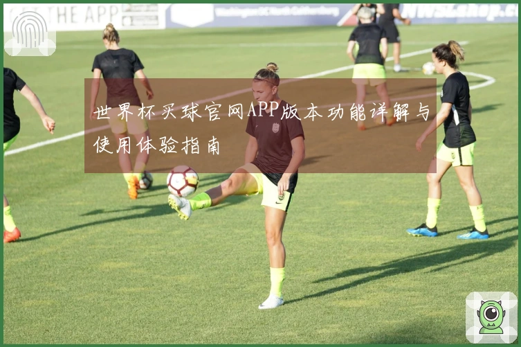 世界杯买球官网APP版本功能详解与使用体验指南