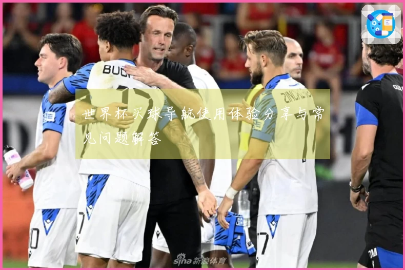 世界杯买球导航使用体验分享与常见问题解答