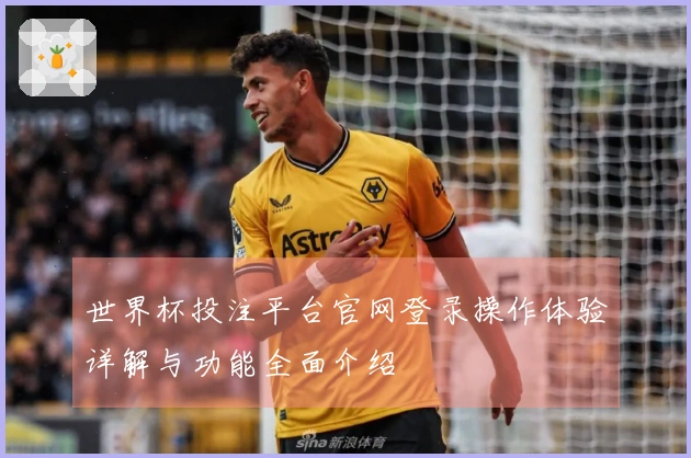 世界杯投注平台官网登录操作体验详解与功能全面介绍