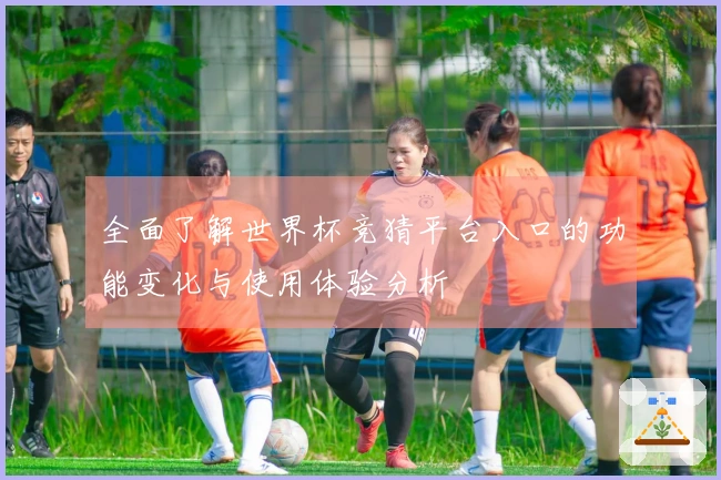 全面了解世界杯竞猜平台入口的功能变化与使用体验分析