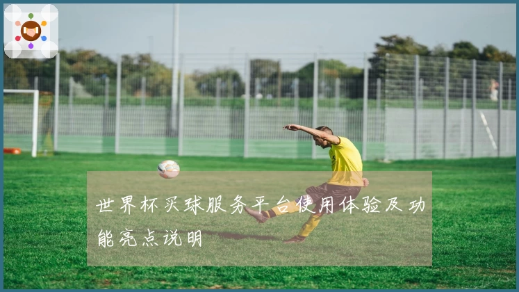 世界杯买球服务平台使用体验及功能亮点说明