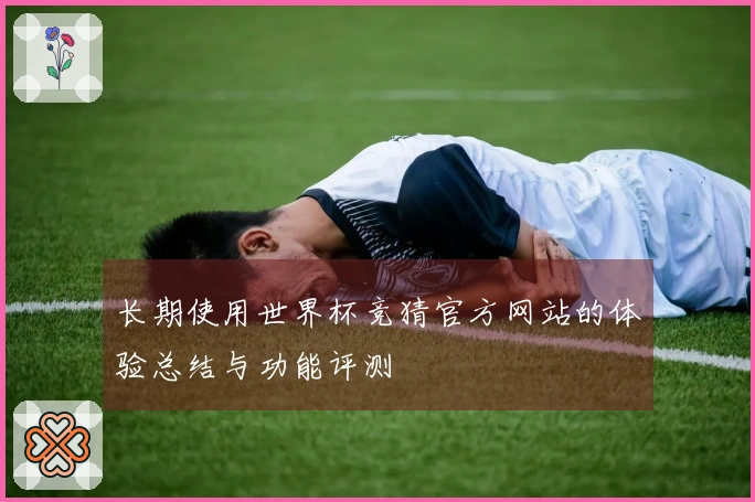长期使用世界杯竞猜官方网站的体验总结与功能评测
