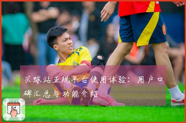 买球站正规平台使用体验:用户口碑汇总与功能介绍