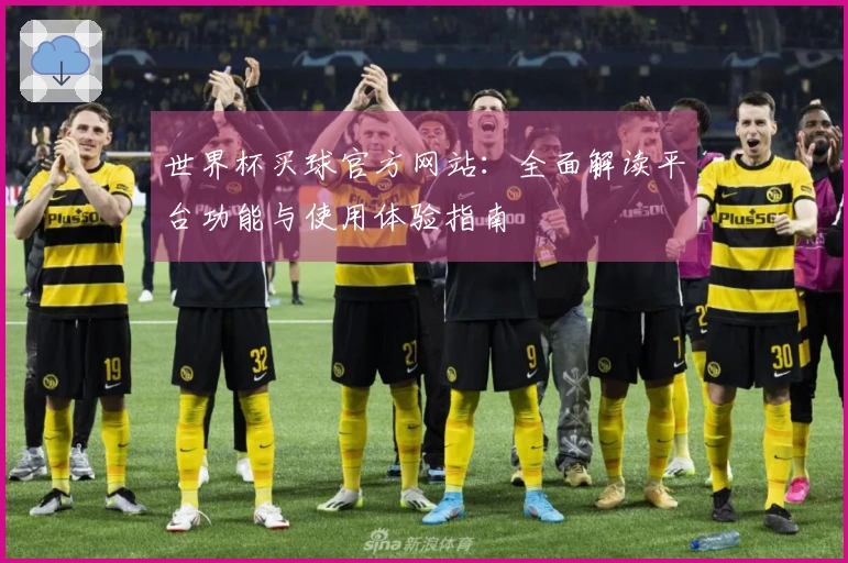 世界杯买球官方网站：全面解读平台功能与使用体验指南