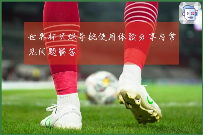 世界杯买球导航使用体验分享与常见问题解答