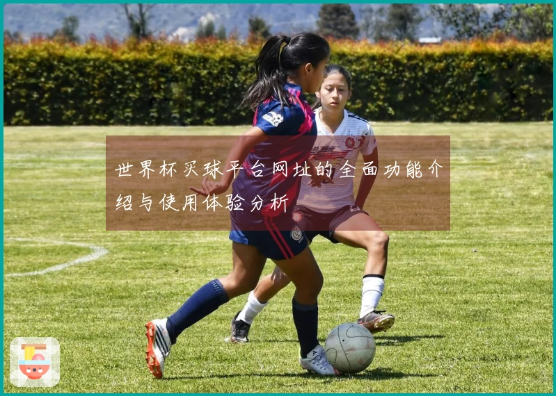 世界杯买球平台网址的全面功能介绍与使用体验分析