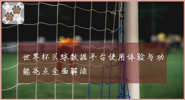 世界杯买球数据平台使用体验与功能亮点全面解读