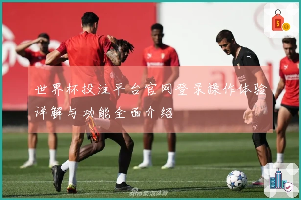 世界杯投注平台官网登录操作体验详解与功能全面介绍