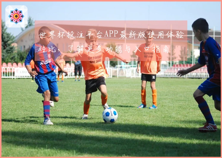 世界杯投注平台APP最新版使用体验对比，了解更多功能与入口指南